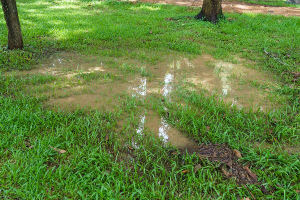 Cost of Storm Water Drainage Service in Columbus