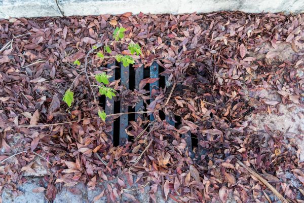 Cost of Yard Drain Unclogging in Columbus