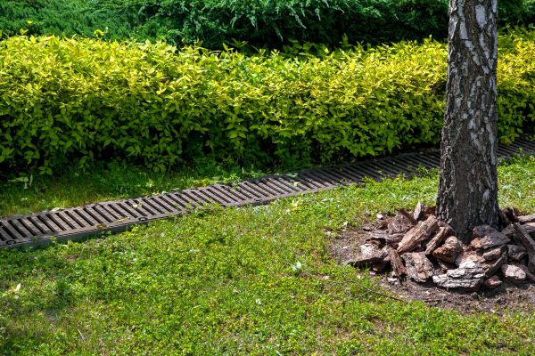 Cost of Residential Landscape Drainage in Columbus