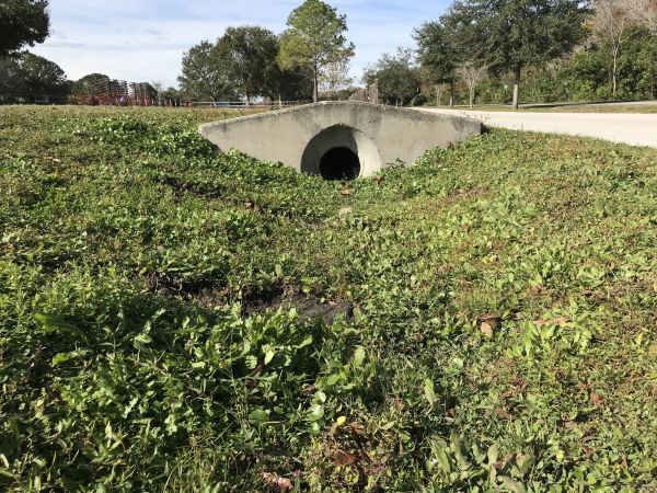 Cost of Swale Drainage Service in Columbus